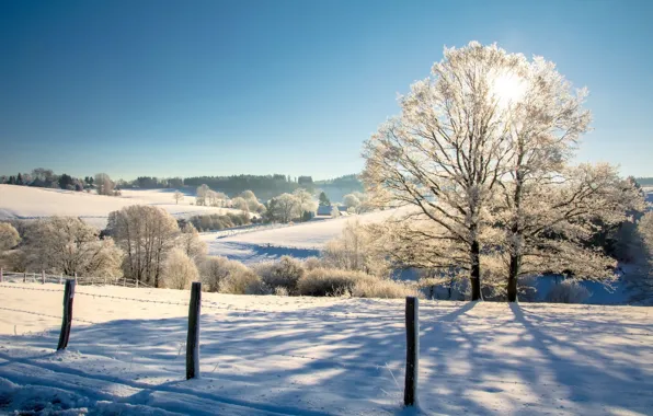 Картинка зима, пейзаж, природа, дерево, красота, утро