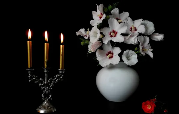 Цветы, свечи, ваза, подсвечник