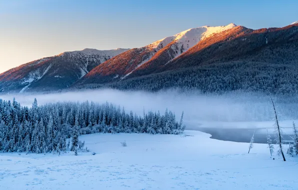 Картинка зима, лес, снег, горы