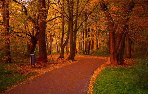 Картинка осень, парк, дорожка