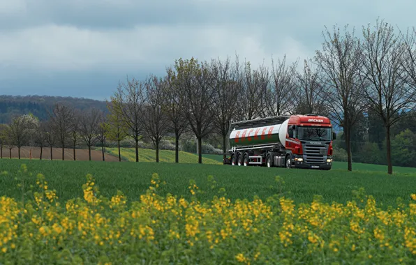 Трава, деревья, трасса, зеленая, truck, тягач, цистерна, backer