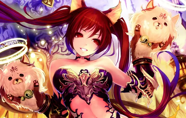 Cerberus, shingeki, bahamut
