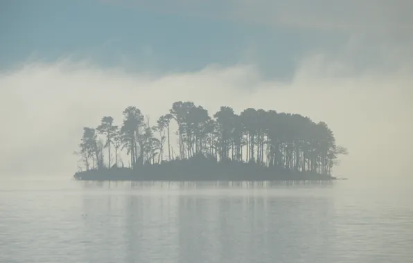 Деревья, туман, озеро, остров, утро, island, morning fog, lake Murray