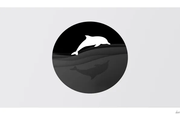 Море, волны, животные, ночь, дельфины, минимализм вода, 272 зуба