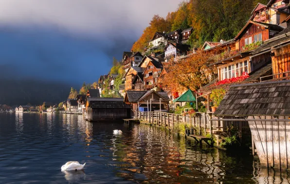 Картинка вода, птицы, озеро, дома, Австрия, лебеди, Austria, Hallstatt