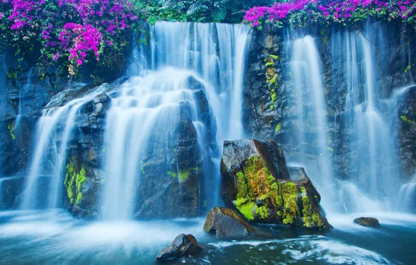 Картинка цветы, синева, камни, водопад, мох, кусты