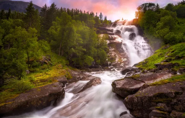 Деревья, река, водопад, Норвегия, Norway