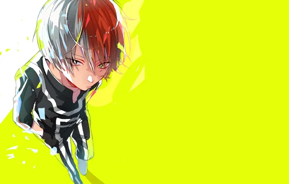 Взгляд, фон, аниме, парень, Boku no Hero Academia, Моя геройская академия, Тодороки Шото