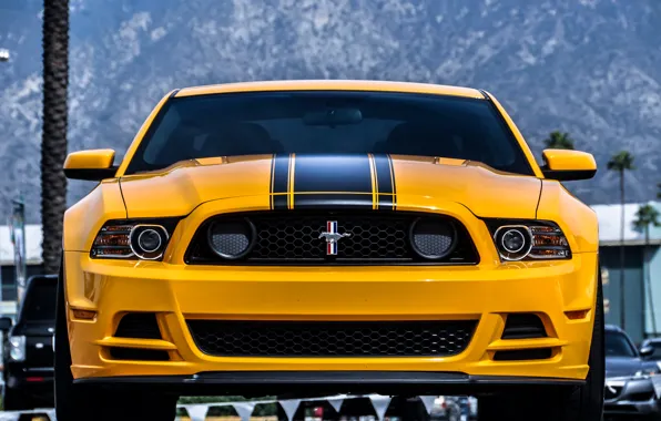 Mustang, Ford, Желтый, Boss 302, Yellow, Передок