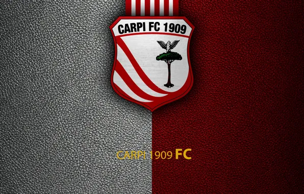 Wallpaper, sport, logo, football, Italian Seria A, Carpi