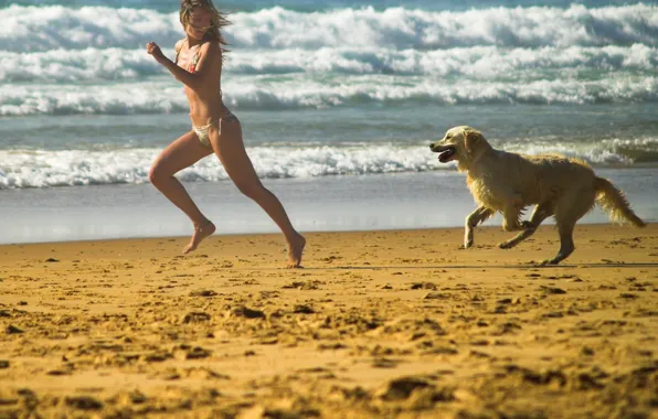 Пляж, собака, Игра