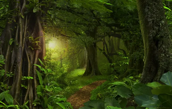 Картинка зелень, листья, солнце, деревья, джунгли, Jungle, тропинка, лес.тропики