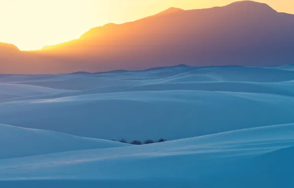 Картинка USA, sky, desert, landscape, nature, sunset, sand, plants