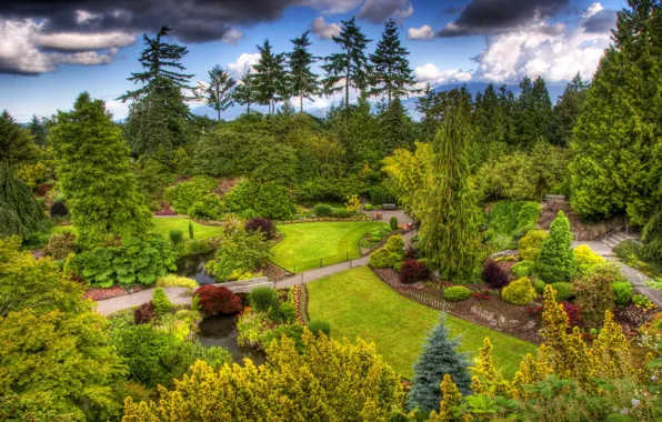 Зелень, деревья, обработка, сад, Канада, кусты, Vancouver, газоны
