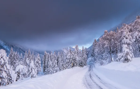 Картинка зима, дорога, лес, снег, деревья, горы, ели, Италия