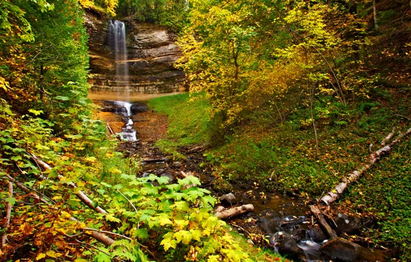 Картинка осень, лес, листья, деревья, скала, водопад, поток