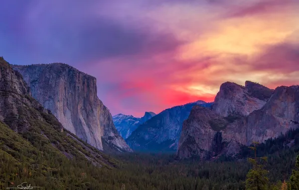 Картинка лес, горы, скалы, рассвет, долина, сша, Национальный парк Йосемити, Yosemite National Park
