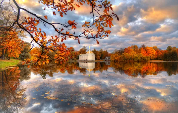 Картинка осень, облака, деревья, пейзаж, ветки, природа, парк, отражение