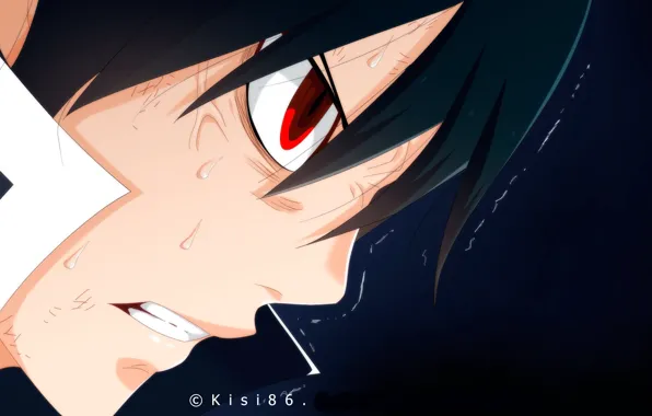 Злость, парень, Fairy Tail, Хвост феи, Зереф