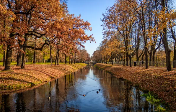 Осень, листья, деревья, парк, река, colorful, river, nature