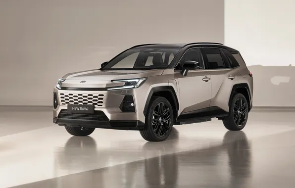 Toyota, RAV4, PHEV, 2025