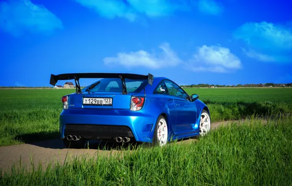 Май, фотосессия, Celica, Sharky