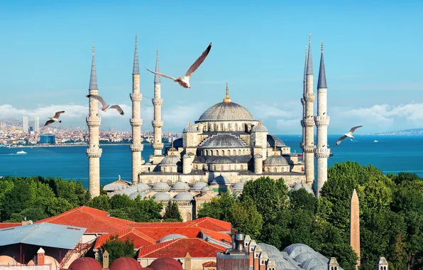 Turkey, istanbul, blue mosque, sultanahmet camii