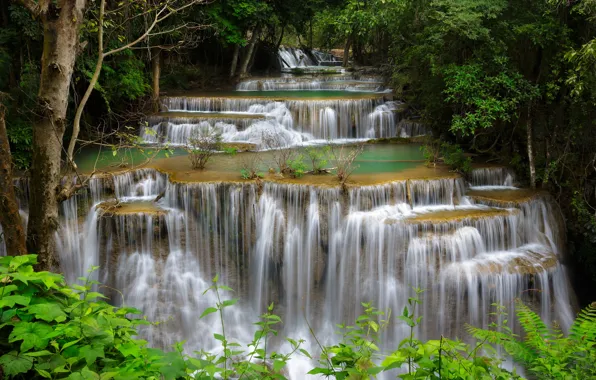 Картинка лес, деревья, река, заросли, водопад, поток, каскад