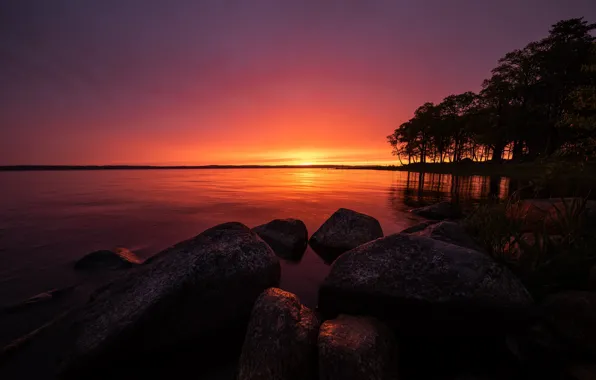 Деревья, озеро, восход, камни, утро, Швеция