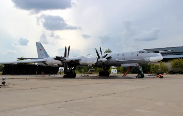 Самолет, бомбардировщик, Ту-95, русский медведь