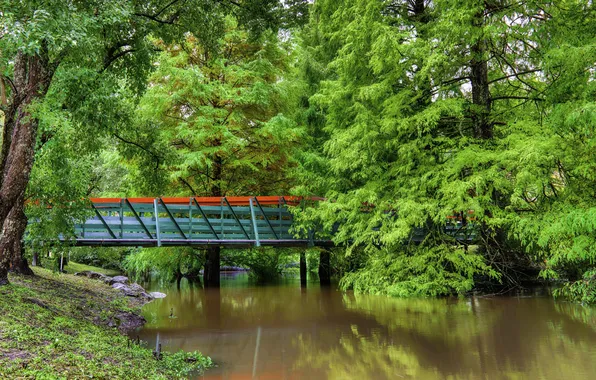 Зелень, деревья, мост, пруд, парк, Австралия