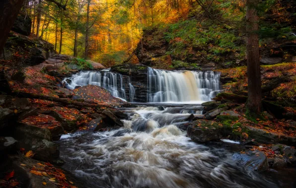 Картинка осень, лес, река, водопады, Пенсильвания, каскад, Pennsylvania, Ricketts Glen State Park