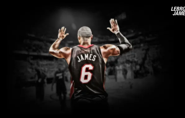 James, Heat, Lebron