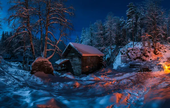Картинка зима, лес, снег, деревья, ночь, избушка, хижина, костёр
