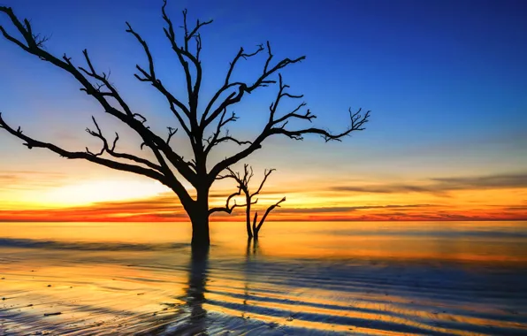 Картинка небо, облака, деревья, закат, силуэт