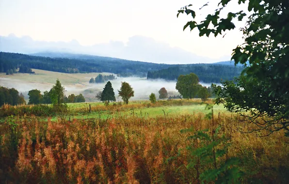 Картинка лес, горы, природа, мгла, Horská Kvilda, chranena oblast Šumava, Квилда, Шумава