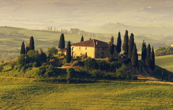 Картинка деревья, дом, поля, Италия, Italy, Таскания