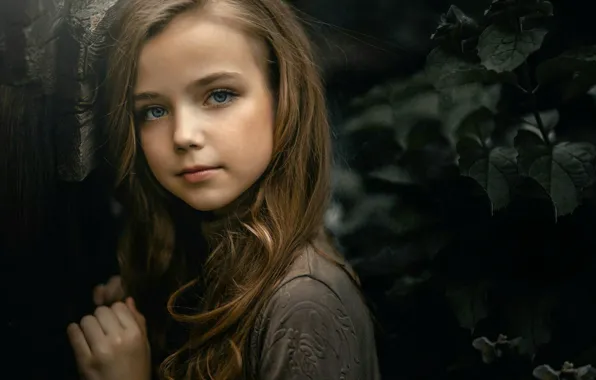 Картинка взгляд, портрет, девочка, прелесть