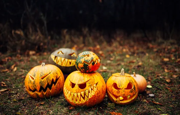 Картинка осень, листья, тыква, Хэллоуин, halloween, autumn, leaves, pumpkin