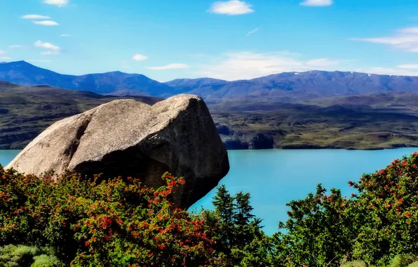 Картинка река, берег, камень, кусты, Аргентина, Patagonia