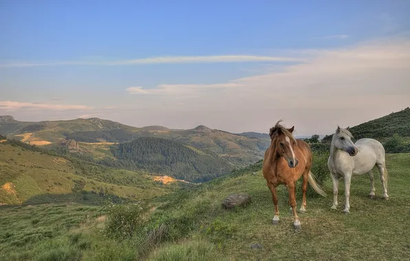 Картинка пейзаж, горы, лошади