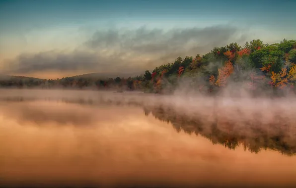 Картинка небо, облака, деревья, туман, озеро, отражение, зеркало