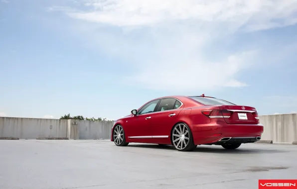 Red, vossen, Lexus LS460