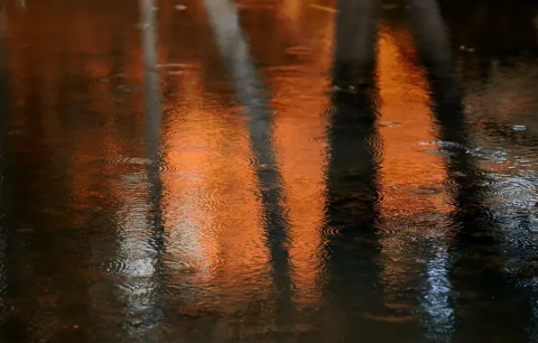 Осень, вода, дождь