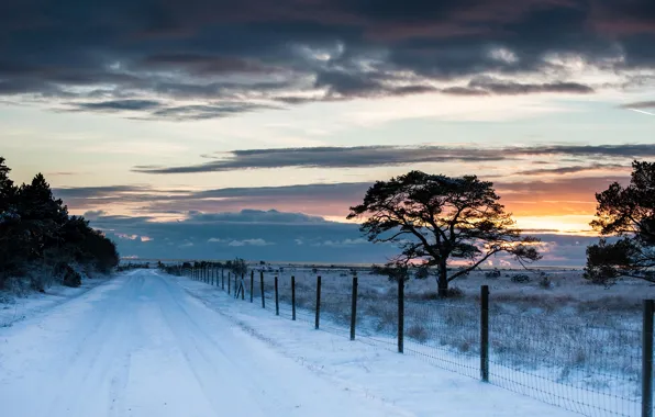 Картинка зима, дорога, поле, небо, снег, деревья, пейзаж, закат