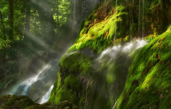 Зелень, лес, вода, солнце, лучи, свет, брызги, камни