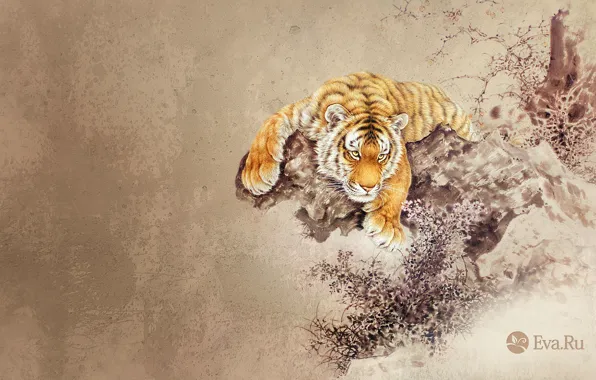Животные, тигр, рисунок
