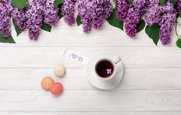Цветы, flowers, сирень, romantic, coffee cup, macaroons, macaron, lilac