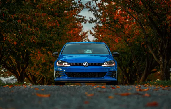 Картинка Volkswagen, Blue, Front, Autumn, Golf, VAG