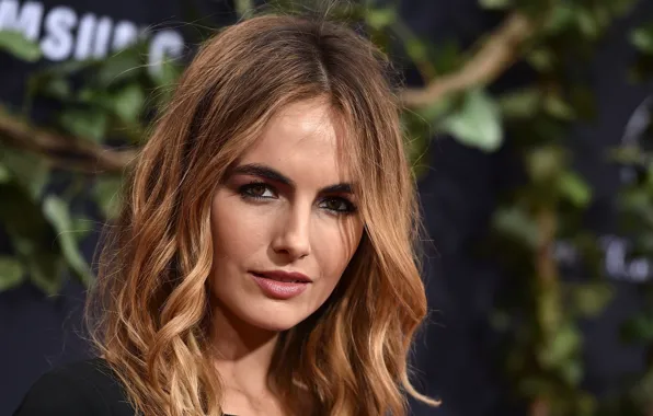 Взгляд, девушка, макияж, актриса, girl, hair, Camilla Belle, look